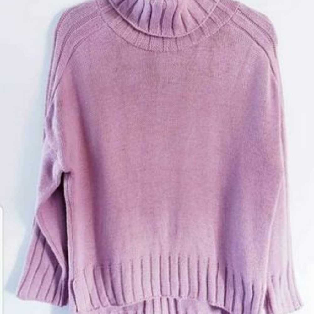 Topshop Turtleneck